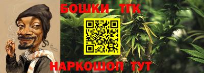 spice Тверь