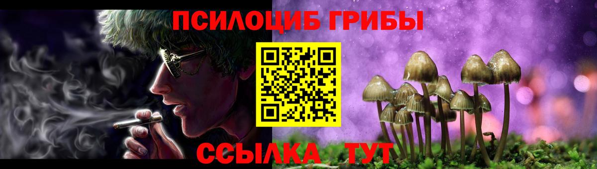 Галлюциногенные грибы прущие грибы Красноярск